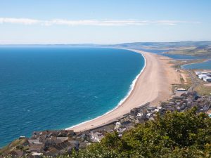 Chesil Beach - top tips when visiting Wareham Forest