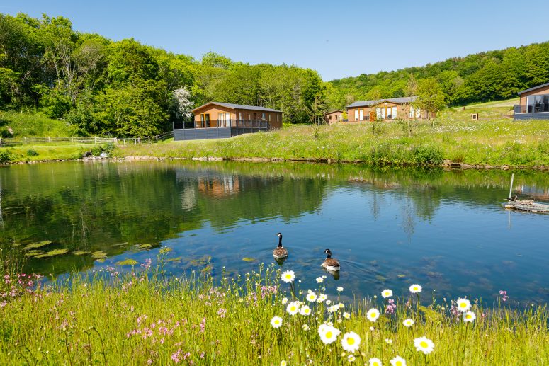 Find your dream holiday home at one of our stunning locations across the UK!